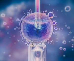Nectar GYN & Fertility Centre - Intra Cytoplasmic Sperm Injection (ICSI)